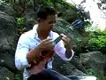 SOAD And George Harrison on a Ukulele SOAD And George Harrison on a Ukulele
