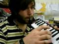beirut scenic world melodica cover