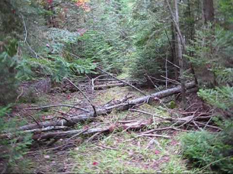 how to locate old homesteads