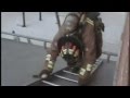 New FAD Video