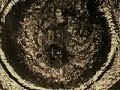 Epicrisis - Psychodelic (video) Epicrisis - Psychodelic (video)