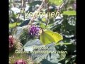 Vertrauen