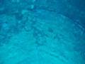 The cemetery of Yonaguni's underwater ruins