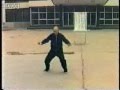 Fushan Taijiquan
