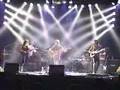 Hamadryad - Amora Demonis [Live]