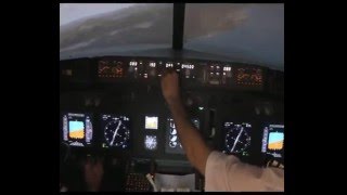 iPILOT Flight Simulator Experience