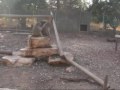 Monkey Park