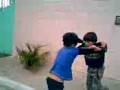 videos de Mamones peleando