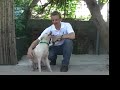 Animals Taiwan - Whity September 20, 2008 Animals Taiwan - Whity September 20, 2008