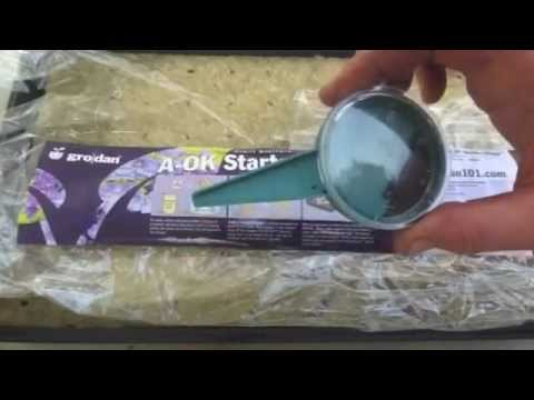 how to transplant from soil to hydroponics