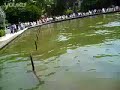 Fountain during earthquake in West-North University in Xi\ Fountain during earthquake in West-North University in Xi\