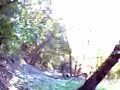 Adventures in Video: emoH klaW yM
