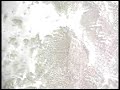 \"Surf\" Example Tour Video loop \"Surf\" Example Tour Video loop