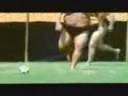 pepsi sumo advert