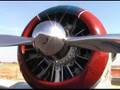 50th Annual Merced Antique Fly-In