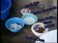3id  al adha dyalna