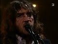 red hot chili peppers - dani california live red hot chili peppers - dani california live