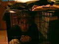 Caged Man