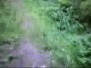 ATC 2K mountainbike test
