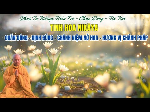 Tinh Hoa NIKAYA - Bát Chánh Đạo 3 - Quán Đúng- Định Đúng- Chánh Niệm Nở Hoa - Hương Vị Chánh Pháp **