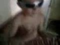 martincito ramonero