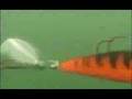 Rapala\Storm Spin Tail Shad