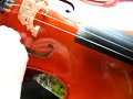 Cello Sound Post