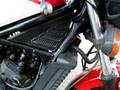 D:\RZ250R\29L