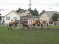 Island Bay Thirds - Tmo