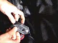 Spiking the Shoulders of my Jacket Spiking the Shoulders of my Jacket