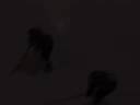 Team Canada tryouts part two_0001.wmv Team Canada tryouts part two_0001.wmv