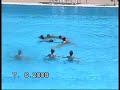 Sincro - CN Joan Pelegr� campiones Majors 12 Nivell II
