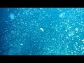 神秘の世界？ バブルブルーウォーターダイブ！