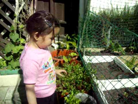 how to whiten garden pebbles
