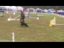 MACH 3 Finale