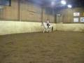 Amanda & Buxen