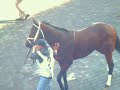 A day at Aqueduct Racetrack