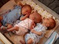 paul, ella & logan finding each others' head, limbs and last nerves.