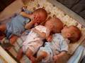 Triplet discovery