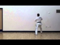 Chon-Ji - Youtube 2011.mov