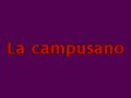afnny campusano afnny campusano