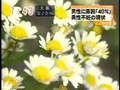 &ccedil;�&middot;&aelig;�&sect;&auml;&cedil;�&aring;&brvbar;� video