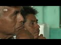 Click here to watch this video Protecting Mexico's rich forests | Global Ideas