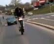 scoot wil