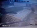 Video engraçado com um ladrão Burro