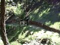 ENTRENAMIENTO SWAT