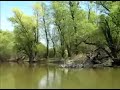 Dunav kod Apatina V Dunav kod Apatina V