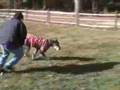 More-of-Teo-playing-