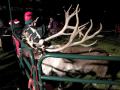 St. Joe's Hospital Prairie Light Show With Santa and His Reindeer