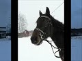 Arska
